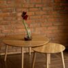 Twin Coffee Table